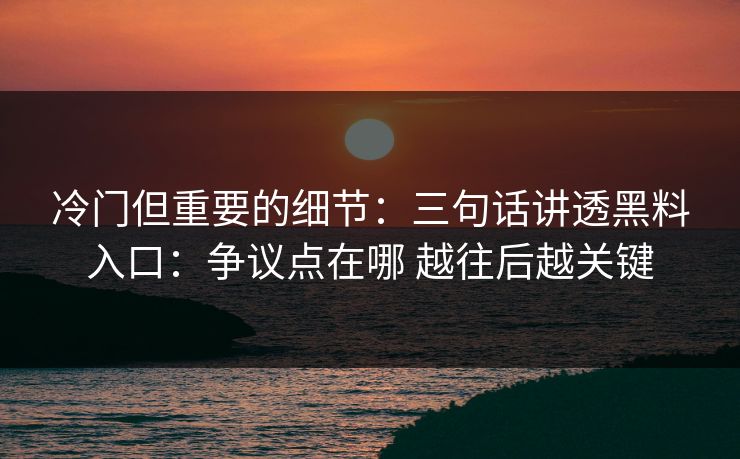 冷门但重要的细节：三句话讲透黑料入口：争议点在哪 越往后越关键