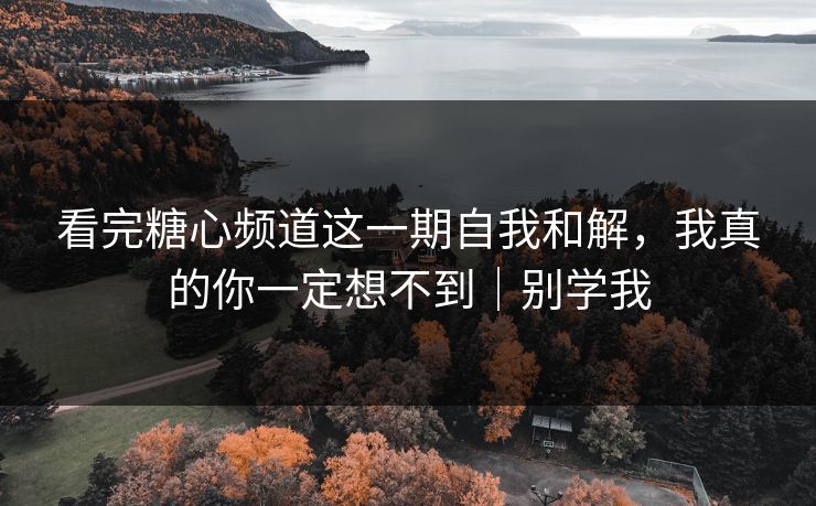 看完糖心频道这一期自我和解，我真的你一定想不到｜别学我