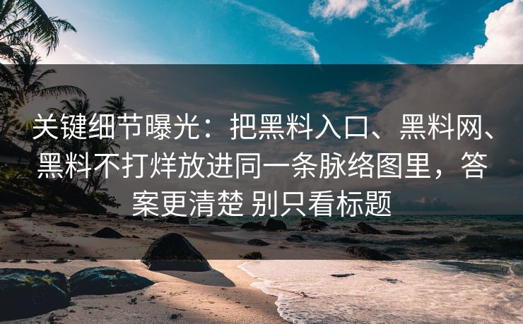 关键细节曝光：把黑料入口、黑料网、黑料不打烊放进同一条脉络图里，答案更清楚 别只看标题