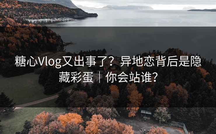 糖心Vlog又出事了？异地恋背后是隐藏彩蛋｜你会站谁？