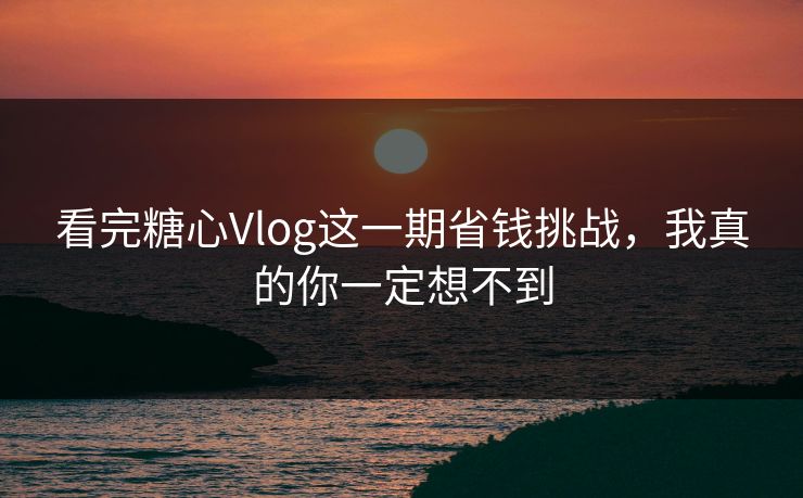 看完糖心Vlog这一期省钱挑战，我真的你一定想不到
