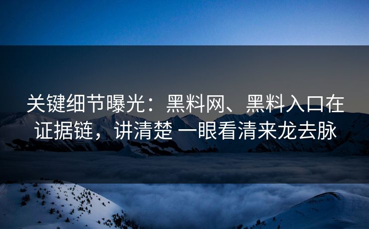 关键细节曝光：黑料网、黑料入口在证据链，讲清楚 一眼看清来龙去脉