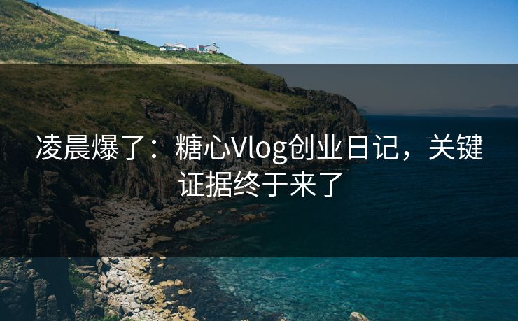 凌晨爆了：糖心Vlog创业日记，关键证据终于来了
