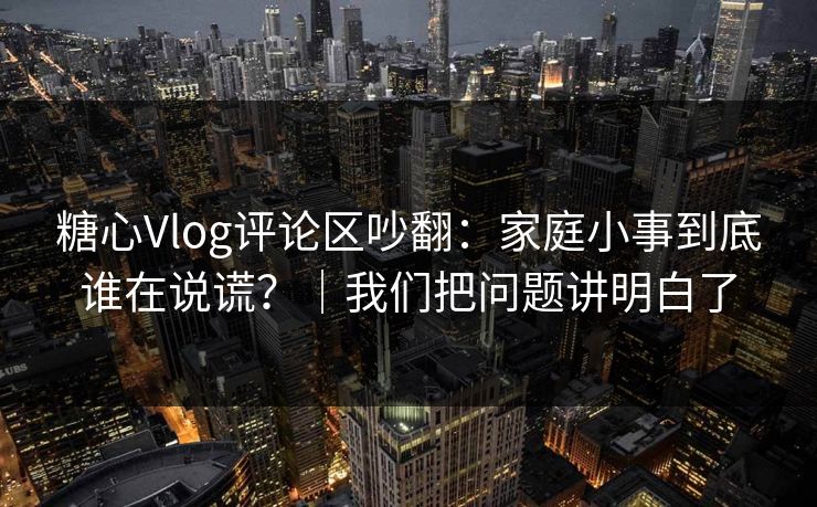 糖心Vlog评论区吵翻：家庭小事到底谁在说谎？｜我们把问题讲明白了