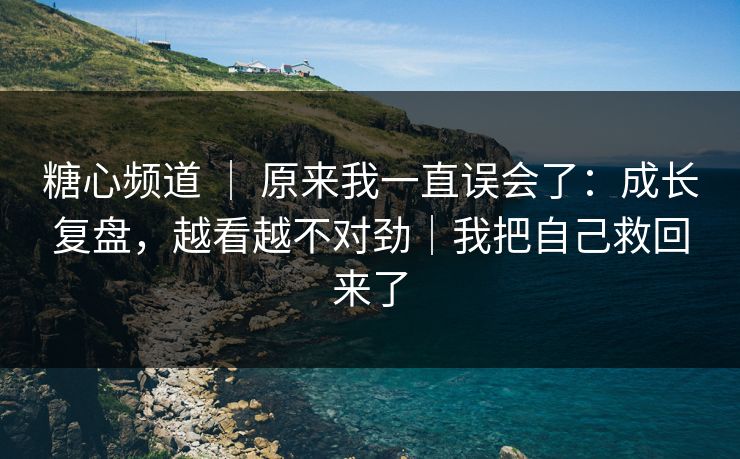 糖心频道 ｜ 原来我一直误会了：成长复盘，越看越不对劲｜我把自己救回来了