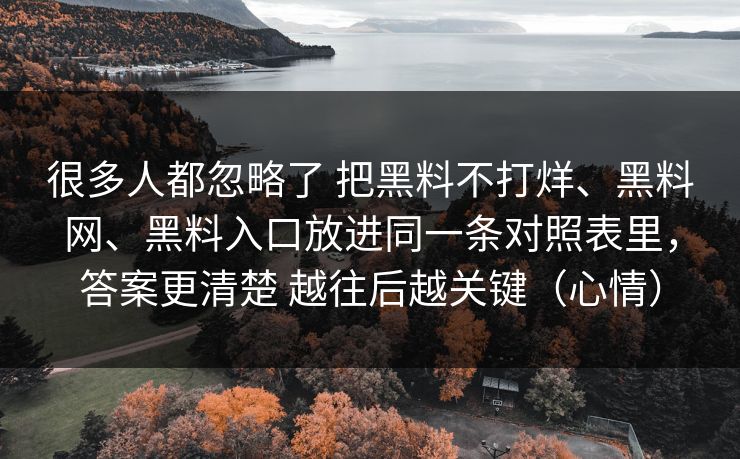 很多人都忽略了 把黑料不打烊、黑料网、黑料入口放进同一条对照表里，答案更清楚 越往后越关键（心情）