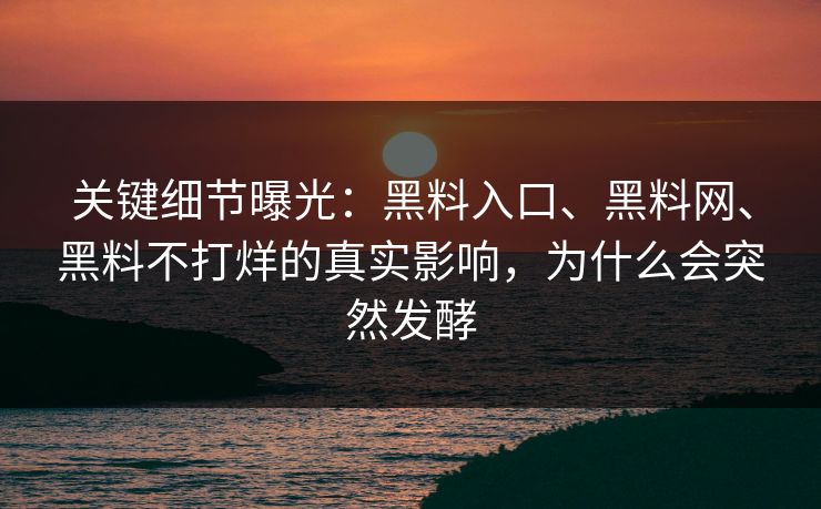 关键细节曝光：黑料入口、黑料网、黑料不打烊的真实影响，为什么会突然发酵