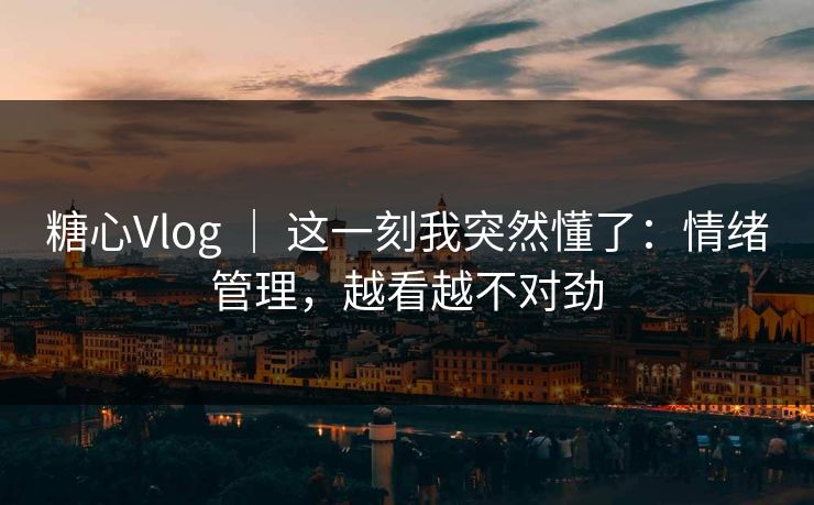 糖心Vlog ｜ 这一刻我突然懂了：情绪管理，越看越不对劲