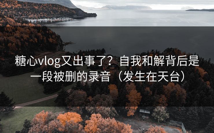 糖心vlog又出事了？自我和解背后是一段被删的录音（发生在天台）