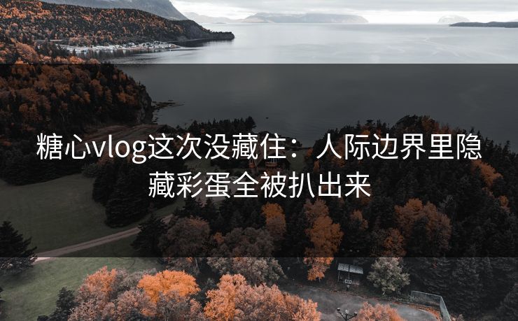 糖心vlog这次没藏住：人际边界里隐藏彩蛋全被扒出来