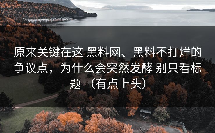 原来关键在这 黑料网、黑料不打烊的争议点，为什么会突然发酵 别只看标题 （有点上头）