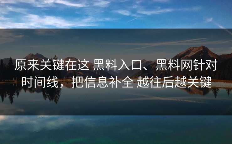 原来关键在这 黑料入口、黑料网针对时间线，把信息补全 越往后越关键
