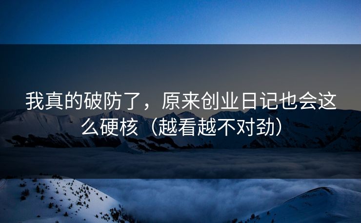 我真的破防了，原来创业日记也会这么硬核（越看越不对劲）