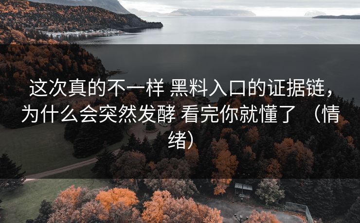 这次真的不一样 黑料入口的证据链，为什么会突然发酵 看完你就懂了 （情绪）