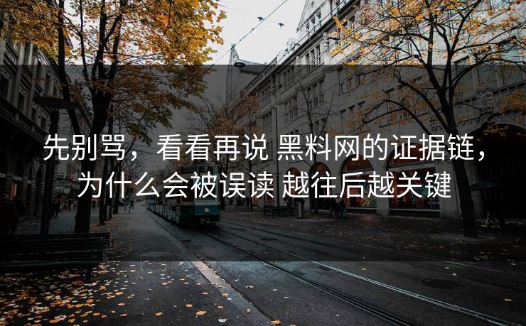 先别骂，看看再说 黑料网的证据链，为什么会被误读 越往后越关键